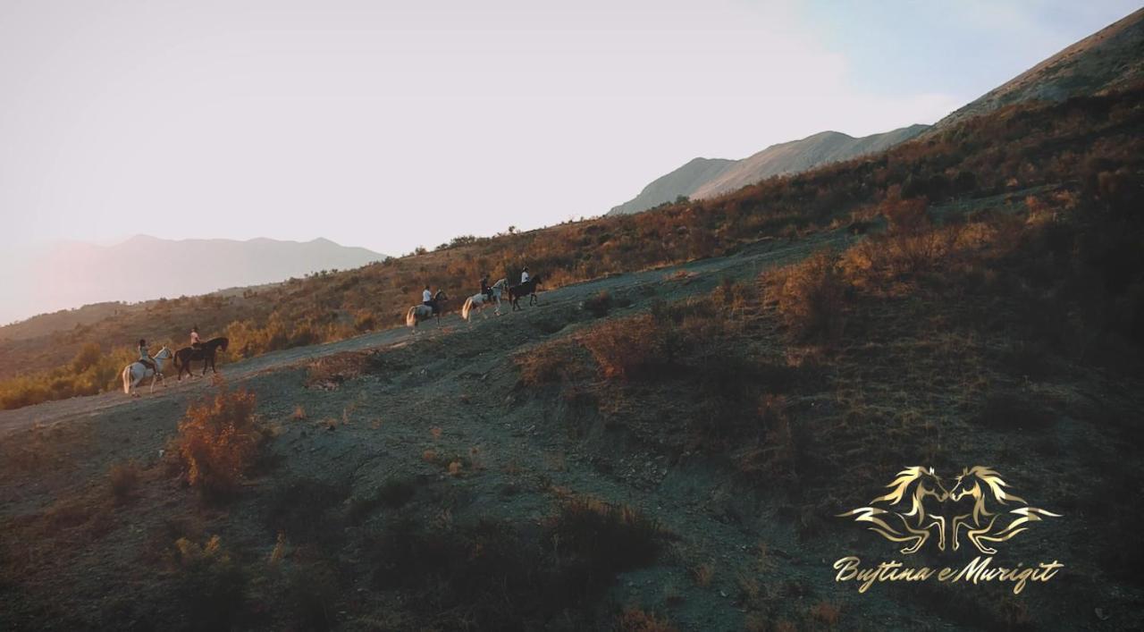 Hotel Bujtina E Muriqit Shkodra Exterior foto